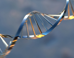 Synthetic Biology Creation Could Change Biofuels and the Environment